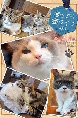 ほっこり猫ライフ vol.1