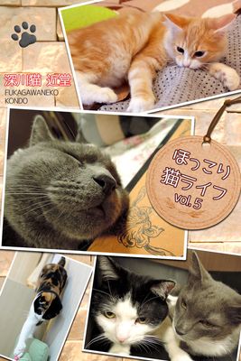 ほっこり猫ライフ vol.5