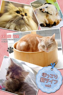 ほっこり猫ライフ vol.6