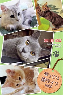 ほっこり猫ライフ vol.9