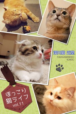 ほっこり猫ライフ vol.11