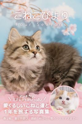 こねこびより Four Seasons