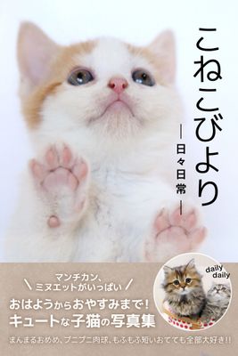 こねこびより -日々日常-