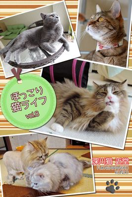 ほっこり猫ライフ vol.8