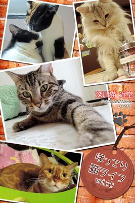 ほっこり猫ライフ vol.10