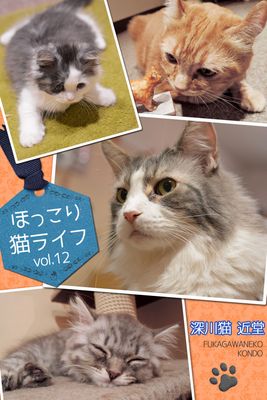 ほっこり猫ライフ vol.12