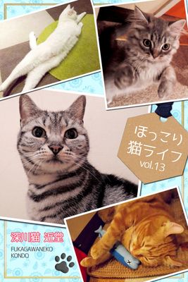 ほっこり猫ライフ vol.13