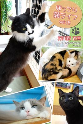 ほっこり猫ライフ vol.15