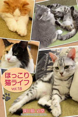 ほっこり猫ライフ vol.18