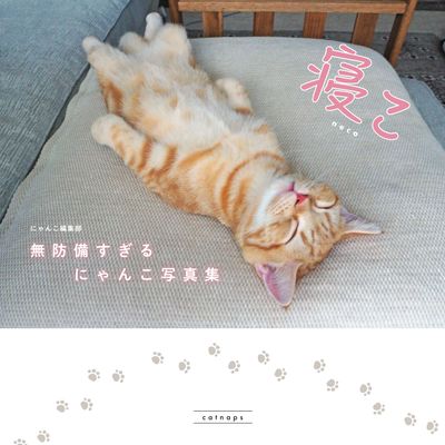 寝こ　無防備すぎるにゃんこ写真集