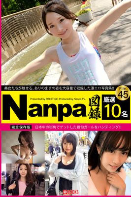 Nanpa図録 File.45